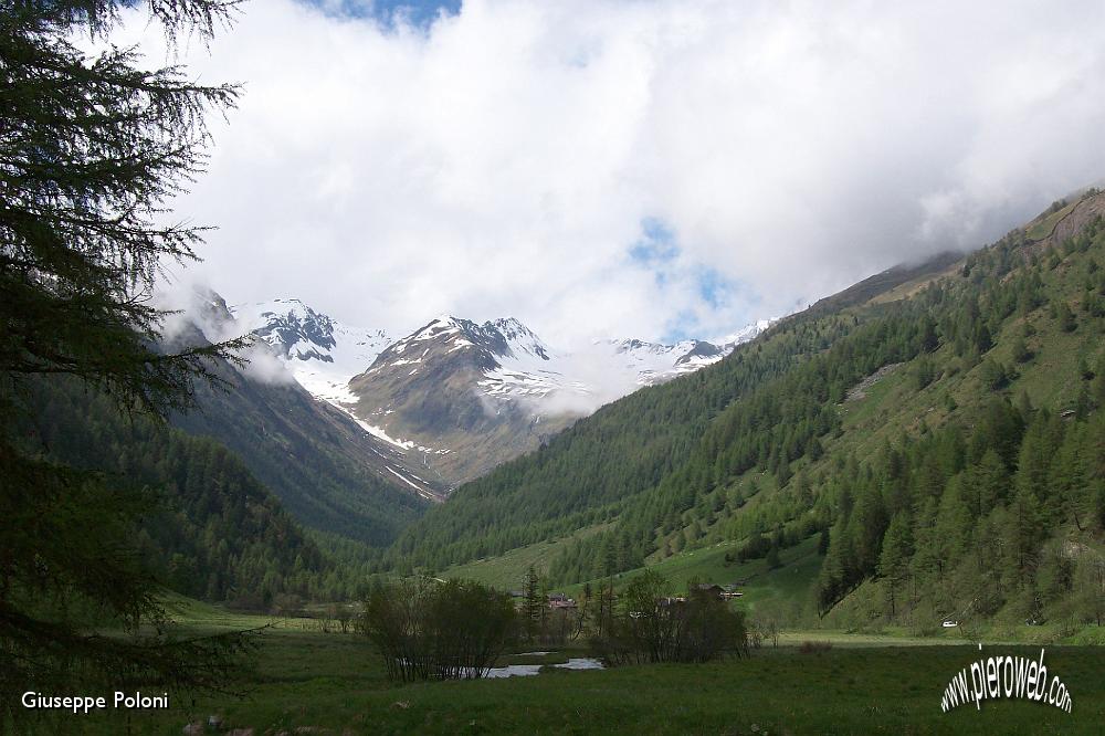 21- la bella valle verso il Gavia, con il cielo che va schiarendo .jpg